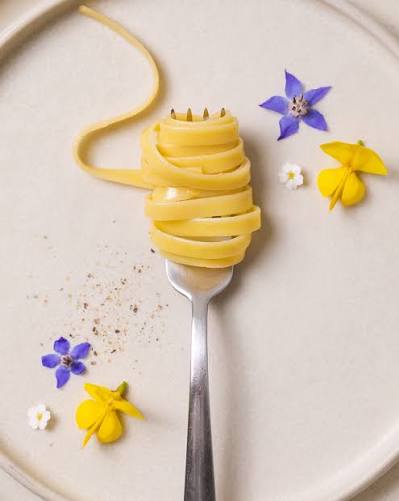 Mancini fettuce 2